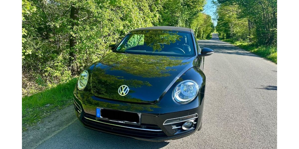 VW Beetle 58.500 km 13.800 &euro; Sankt Augustin 53735
