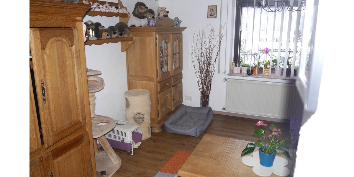 SG, freist. EFH, 5 Zi., 160m² Wfl., 747 GrSt., 2x Doppel-Grg.+CP, Keller, Terr. Stellpl. 5 zimmer