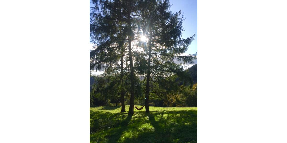 Bauernhaus, Landhaus Bonn Gronau - 5 Zimmer, 170 m&sup2;, 200.000&euro; | Angebot:26339817