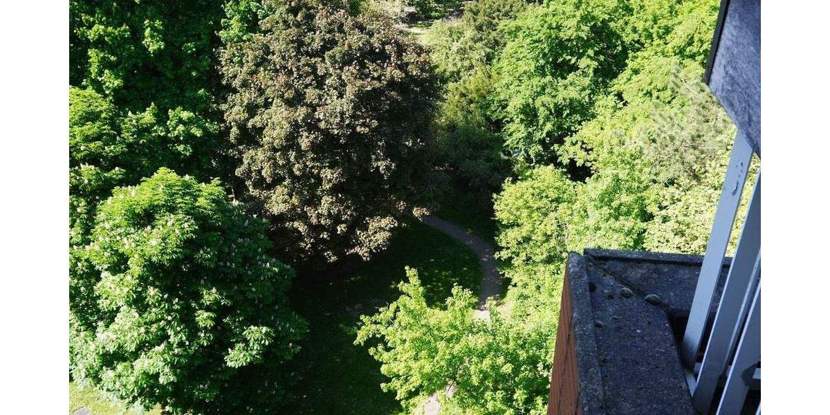 Wohngenuss & Rheinblick, frisch modernisierte 3 Zimmer mit Rundum-Panorama-Balkon, neues Bad, Aufzug 3 zimmer