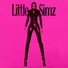 Little Simz - The Lotus Tour