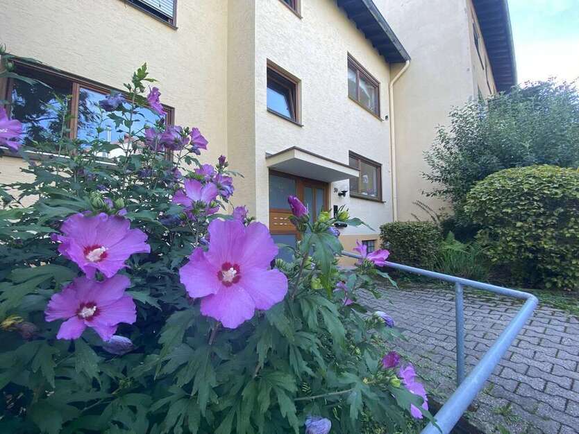 Wohnung zum Kaufen in Bonn 152.000 € 50 m²