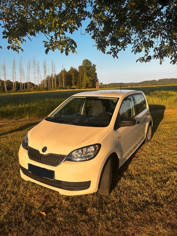 Citigo