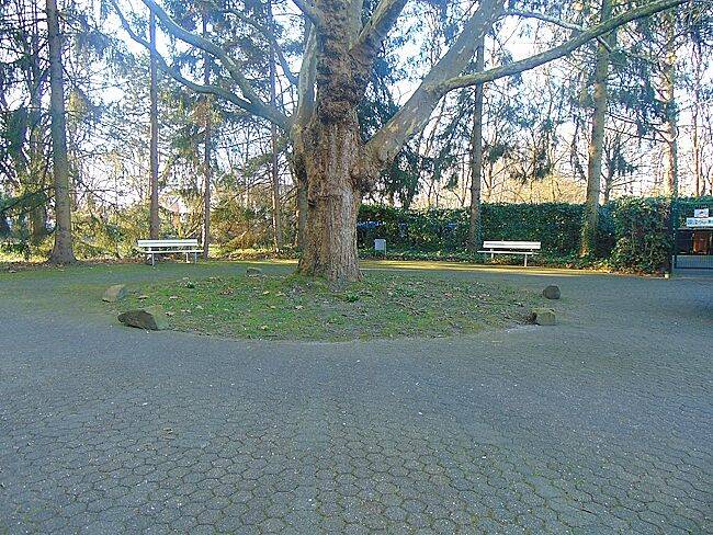 Etagenwohnung Hürth Hermülheim - 2 Zimmer, 195.000&euro; | Angebot:22133554