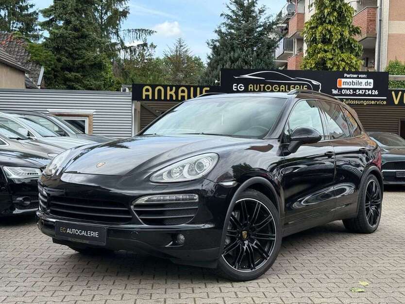 Cayenne