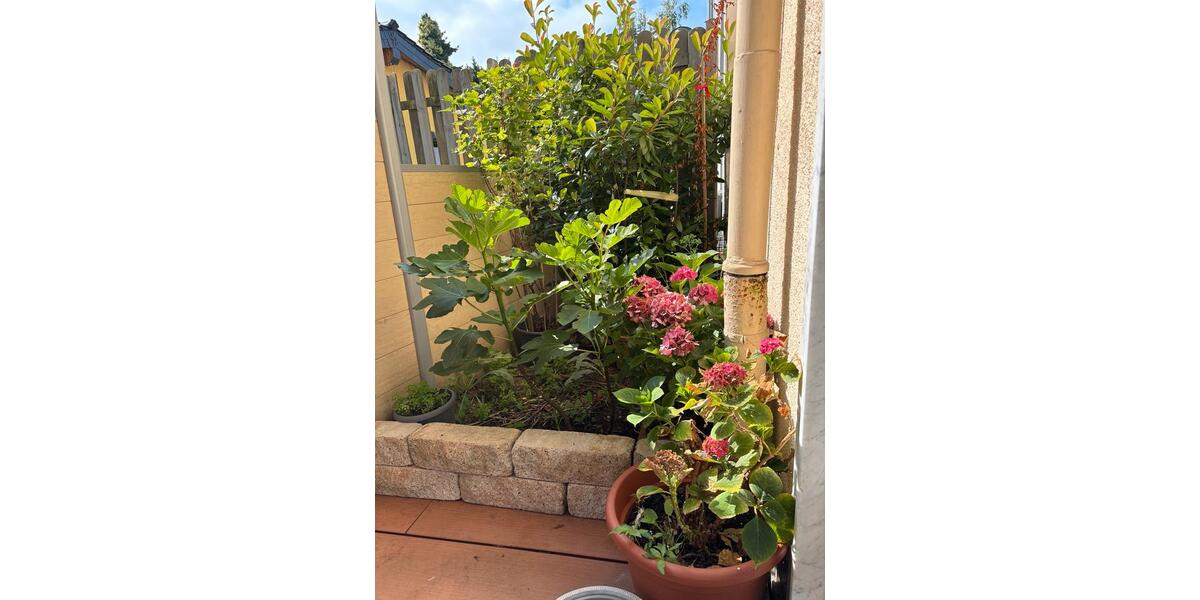 Erdgeschoßwohnung Solingen Ohligs - 2 Zimmer, 65 m&sup2;, 1.100&euro; | Angebot:25231576