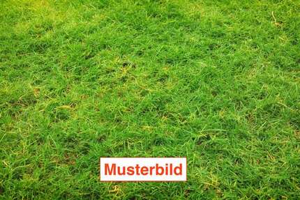 Grundstück Sankt Augustin - 305.000&euro; | Angebot:26145238