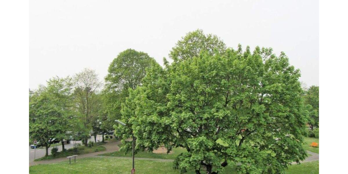 Etagenwohnung Alfter / Bonn Oedekoven - 2 Zimmer, 56 m&sup2;, 239.000&euro; | Angebot:25897493