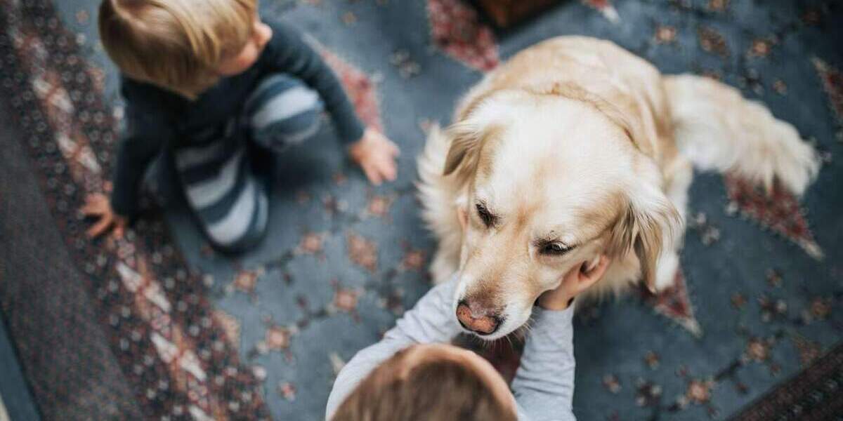 Einfamilienhaus Bergheim Kenten - 6 Zimmer, 123 m&sup2;, 547.179&euro; | Angebot:25738908