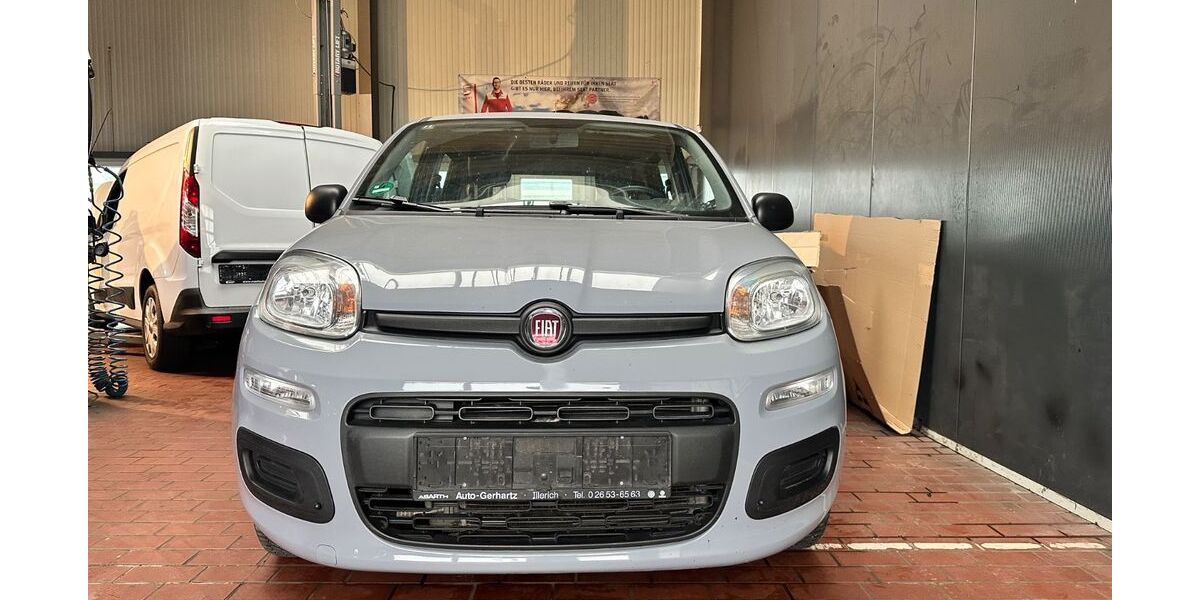 Fiat Panda 53.000 km 8.980 &euro; Erftstadt 50374