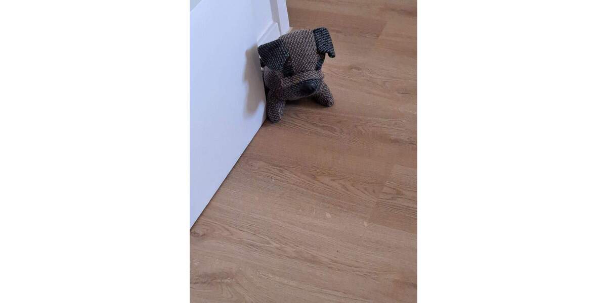 WG-Zi. in möbl. 3er WG ( only male) - nach Kernsanierung - Denkmalsiedlung 