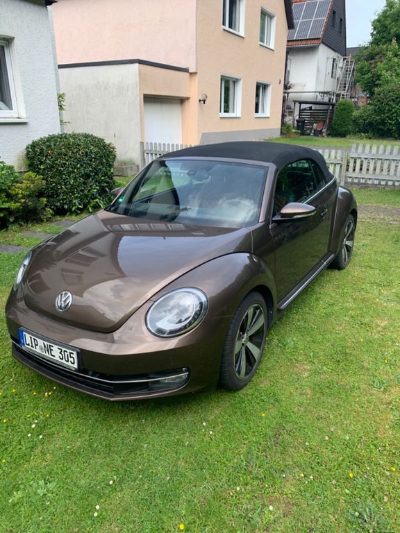 Beetle