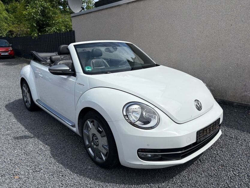 Beetle