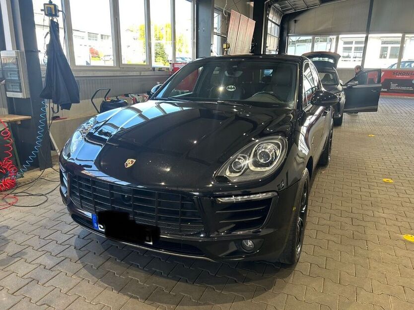 Macan