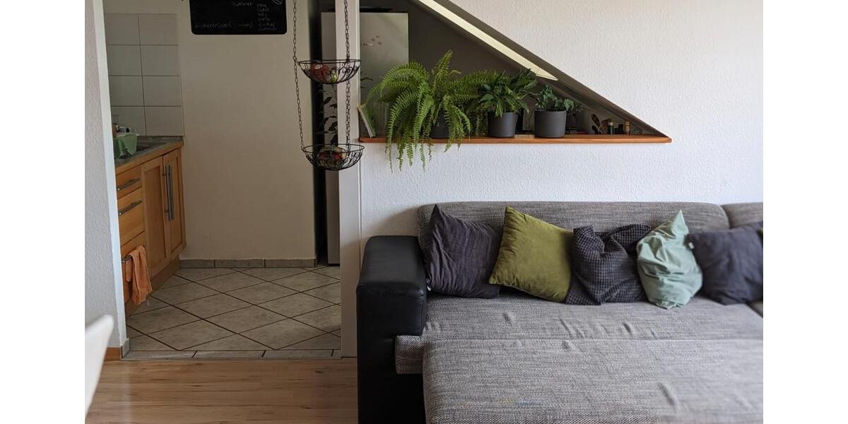 Dachgeschoßwohnung Bonn Auerberg - 1.5 Zimmer, 60 m&sup2;, 720&euro; | Angebot:26535422