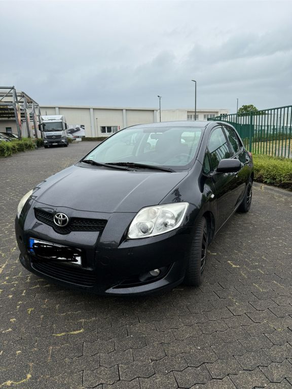 Auris