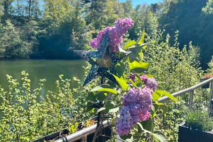 Haus Bonn Lannesdorf - 2 Zimmer, 50 m&sup2;, 68.000&euro; | Angebot:26368765