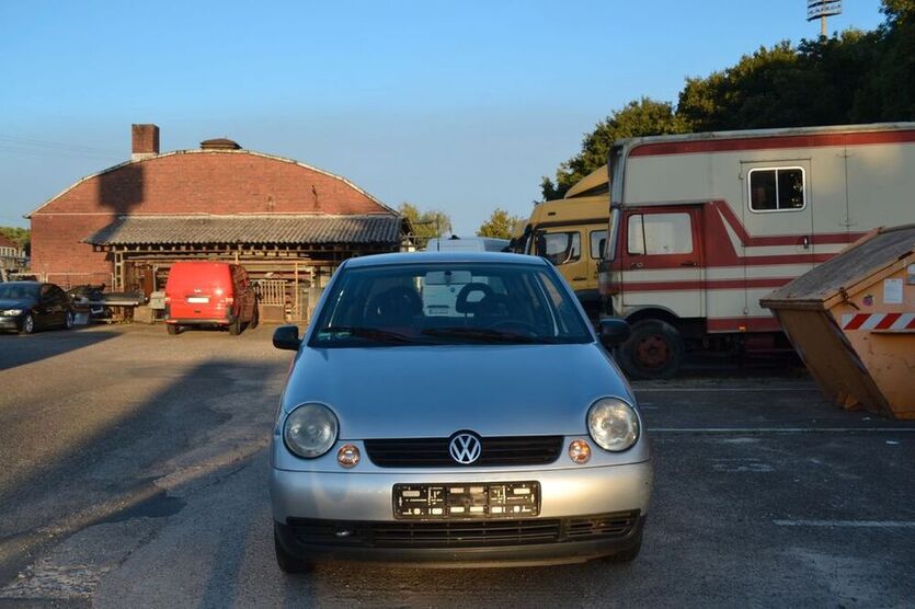 Lupo